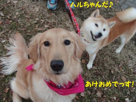 あけおめ