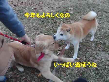 遊ぼうね