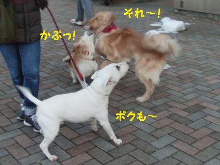 ボクも