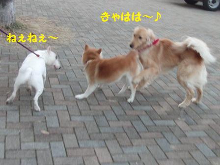 ねぇねぇ