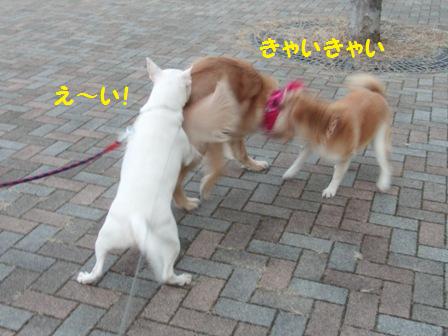 えいっ