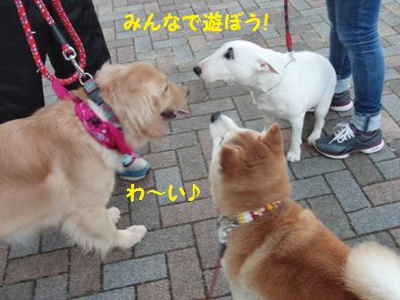 遊ぼう