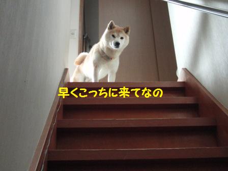 こっち来て