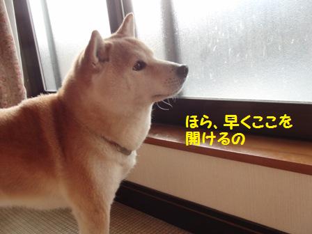 開けて