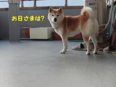 お日さまは?