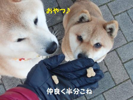 半分こ