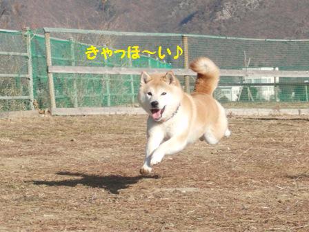 きゃっほ~い