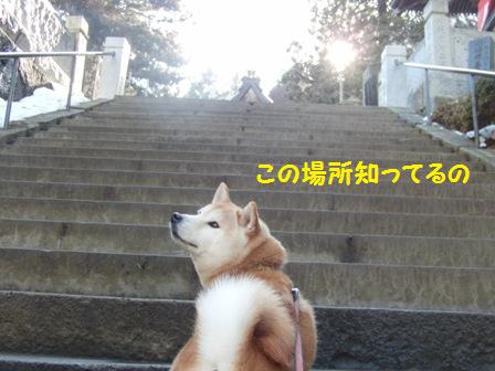 知ってる
