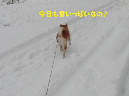 雪