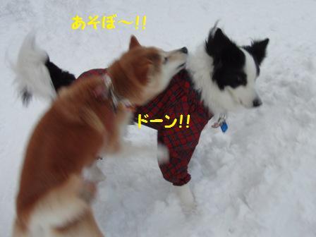 遊ぼう