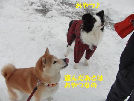 おやつ