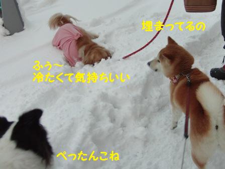 ぺったんこ
