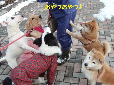 おやつ