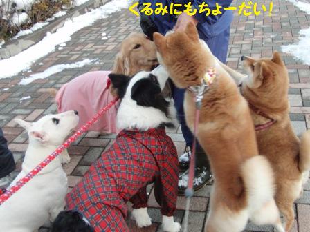 ちょうだい