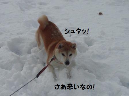 さあ来い