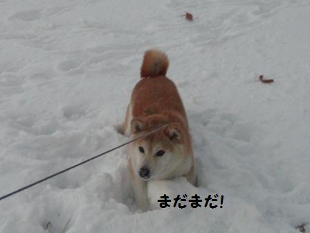 まだまだ