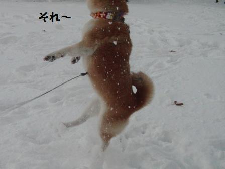 それ~