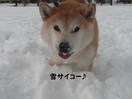 サイコー