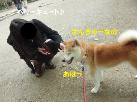 さんきゅー