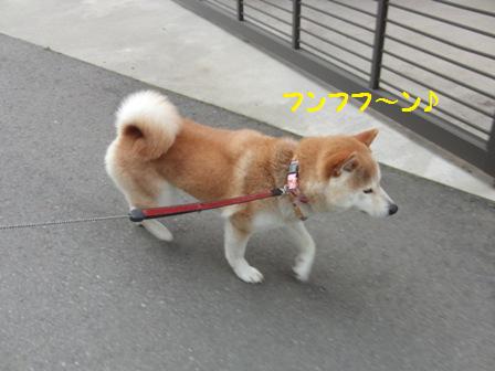 フンフフ~ン