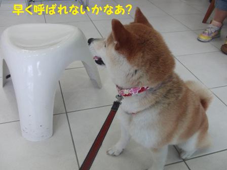 早く