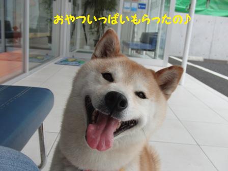 おやつもらった