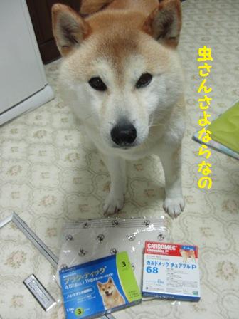 さよなら