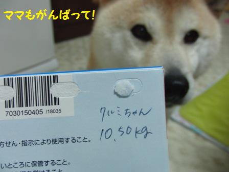 ダイエット成功?