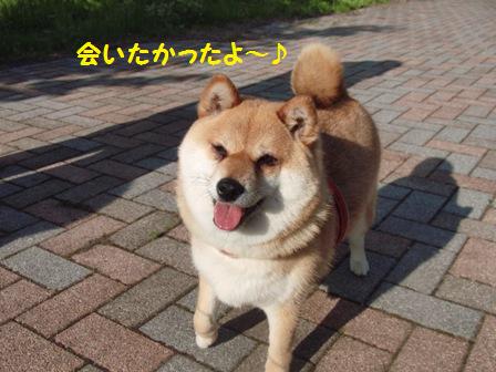 さくらちゃん