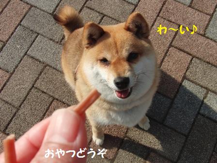 おやつ
