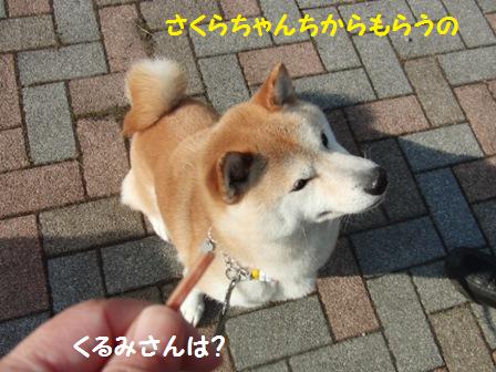 くるみさんは?