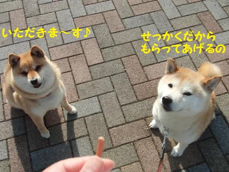 もらってあげる