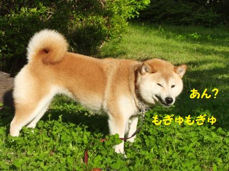 あん?