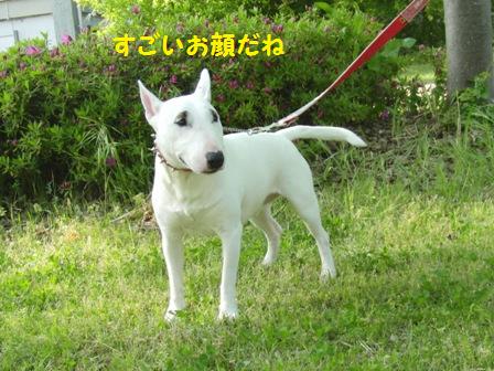 大吉くん