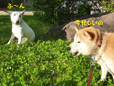 忙しいの