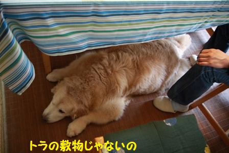 敷物