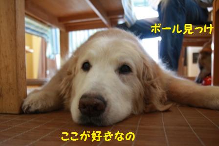 好き