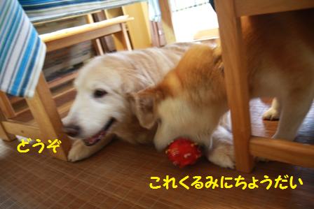 もらっていい?