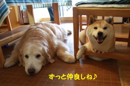 仲良し