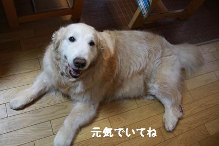 元気でいてね