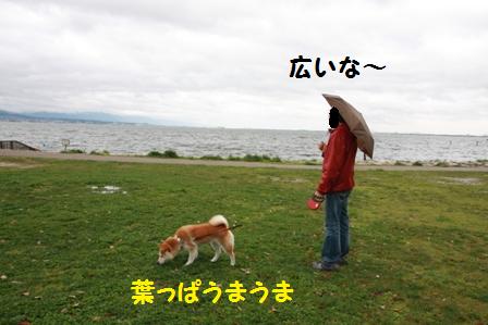 広い