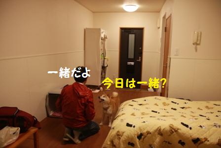 一緒