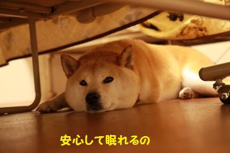 眠れる