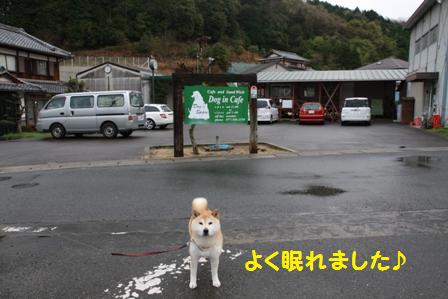 ドッグスペース
