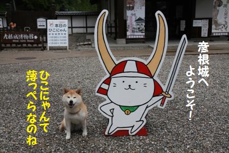 ひこにゃん