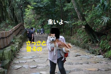 重い
