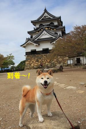 到着