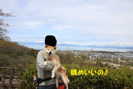 いい眺め