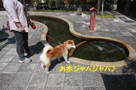 お水