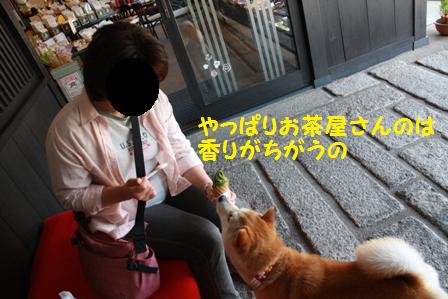 抹茶ソフト